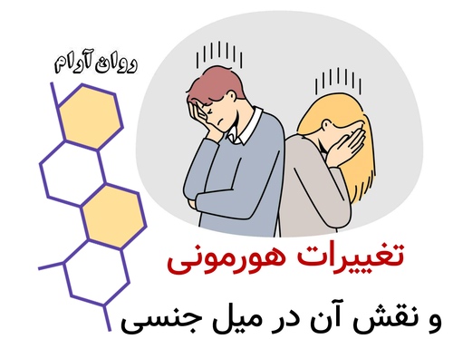 تغییرات هورمونی و نقش آن در میل جنسی