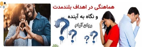 هماهنگی در اهداف بلندمدت و نگاه به آینده